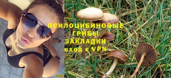 соль курить ск Алзамай
