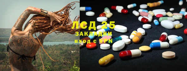 ГАЛЛЮЦИНОГЕННЫЕ ГРИБЫ Алексин