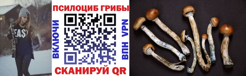 Галлюциногенные грибы мухоморы Усинск